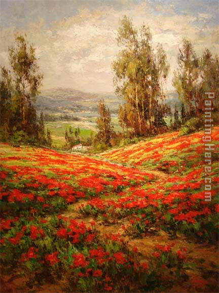 Poppy Field A View From Above painting - Unknown Artist Poppy Field A View From Above art painting